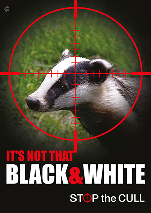 Stop The Badger Cull